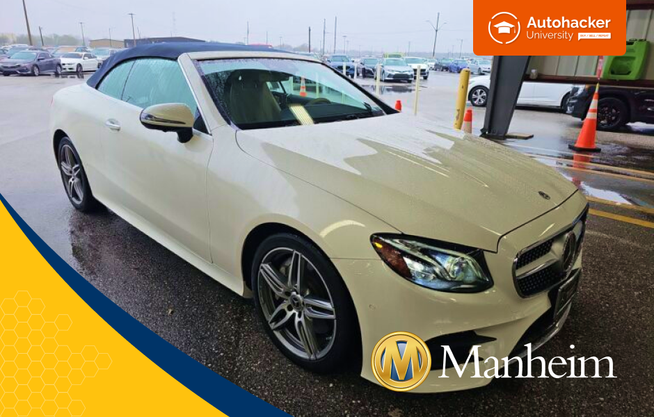 Manheim Auto Auction vs Salvage Auto Auctions