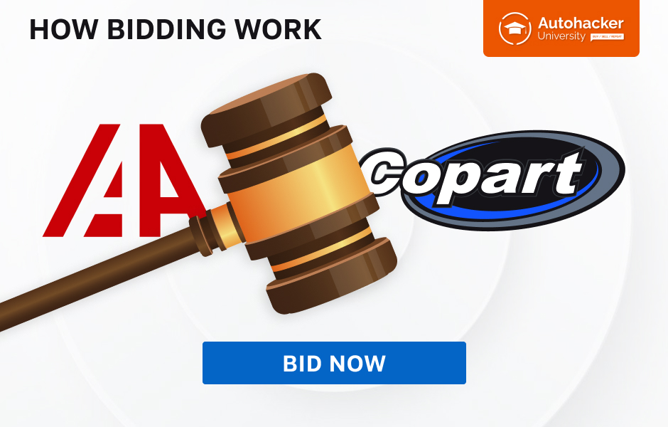 How bidding at salvage auto auctions (Copart, IAAI) work