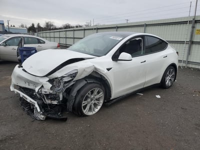 5YJYGAEE3MF****** 2021 Tesla Model Y