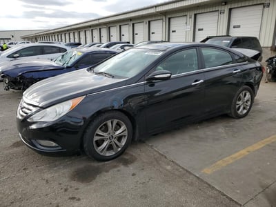 5NPEC4AC5DH****** 2013 Hyundai Sonata