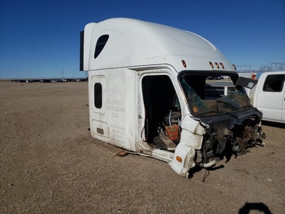 3AKJGLBG9GS****** 2016 Freightliner Cascadia 125