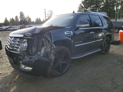 1GYFK43569R****** 2009 Cadillac Escalade
