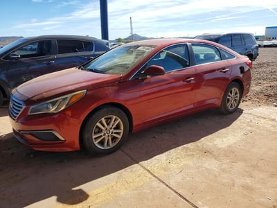 5NPE24AF0GH****** 2016 Hyundai Sonata