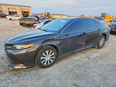 4T1B31HK3KU****** 2019 Toyota Camry