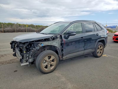 JTMW1RFVXRD****** 2024 Toyota RAV4
