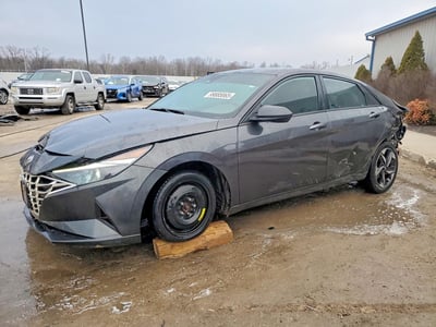 5NPLS4AG5PH****** 2023 Hyundai Elantra