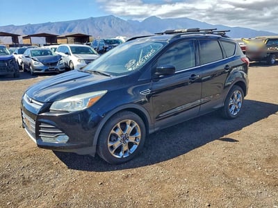 1FMCU0G98GU****** 2016 Ford Escape