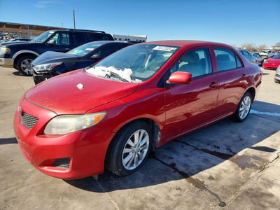 1NXBU4EE1AZ****** 2010 Toyota Corolla