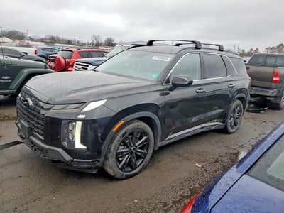 KM8R3DGE9RU****** 2024 Hyundai Palisade