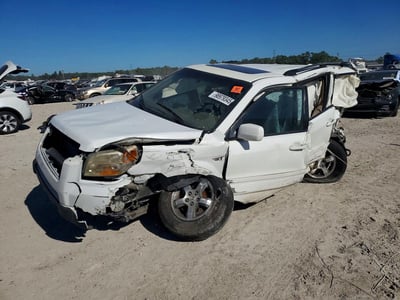 5FNYF28707B****** 2007 Honda Pilot