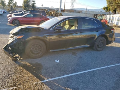 4T1B31HK2KU****** 2019 Toyota Camry