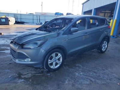 1FMCU0GX3EU****** 2014 Ford Escape