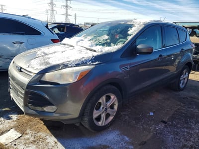 1FMCU0G92EU****** 2014 Ford Escape