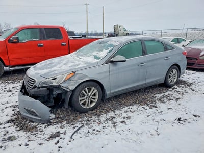 5NPE24AF6FH****** 2015 Hyundai Sonata