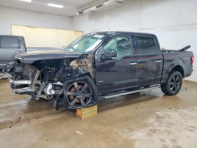 1FTEW1EGXFF****** 2015 Ford F-150