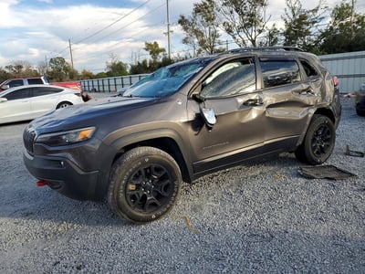 1C4PJMBN6LD****** 2020 Jeep Cherokee