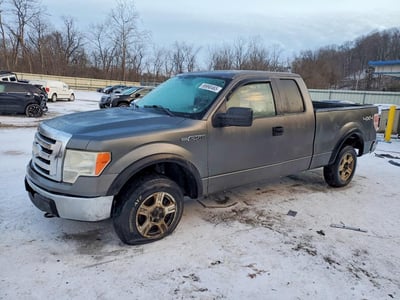 1FTRX14879K****** 2009 Ford F-150