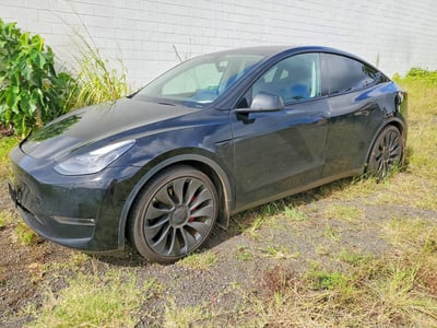 7SAYGDEF6PF****** 2023 Tesla Model Y