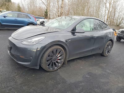 7SAYGDEF3RF****** 2024 Tesla Model Y