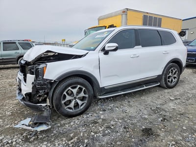 5XYP34HC4MG****** 2021 Kia Telluride