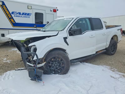 1FTFW3L57SK****** 2025 Ford F-150