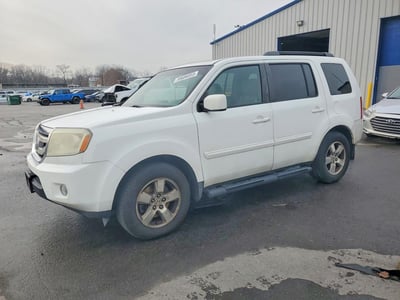 5FNYF48529B****** 2009 Honda Pilot