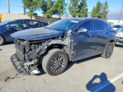 2024 Lexus NX 350