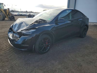 7SAYGDEE9PF****** 2023 Tesla Model Y