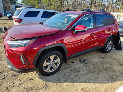 2T3RWRFVXRW****** 2024 Toyota RAV4 Hybrid