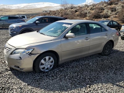 4T1BE46K49U****** 2009 Toyota Camry