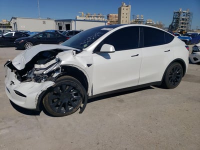 7SAYGAEE0PF****** 2023 Tesla Model Y