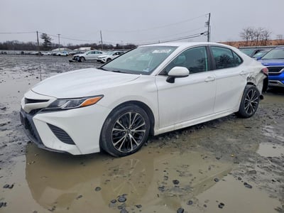 4T1B11HKXKU****** 2019 Toyota Camry