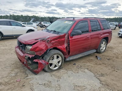 1GNDT13S282****** 2008 Chevrolet Trailblazer