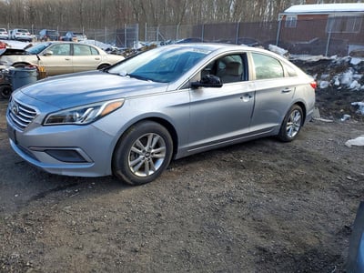 5NPE24AFXGH****** 2016 Hyundai Sonata
