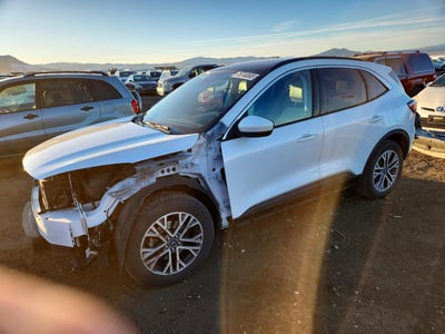 1FMCU9H60MU****** 2021 Ford Escape
