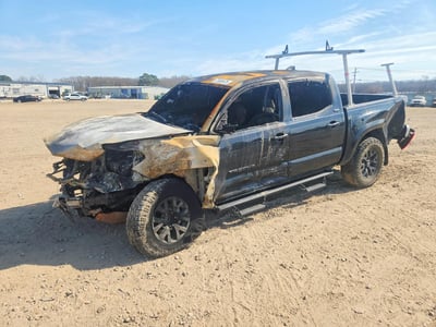 3TYAZ5CN4PT****** 2023 Toyota Tacoma