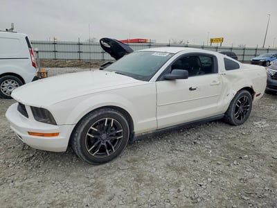 1ZVFT80N055****** 2005 Ford Mustang