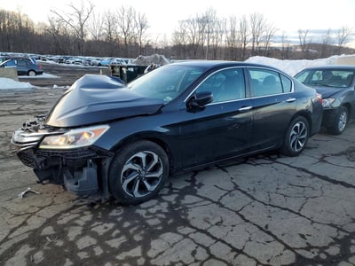 1HGCR2F97HA****** 2017 Honda Accord