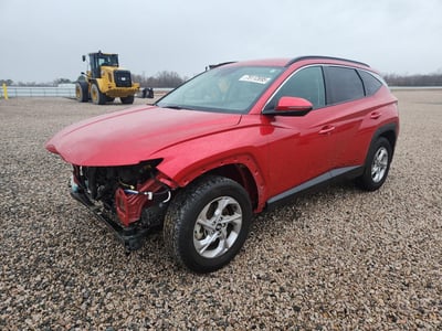 5NMJBCAE8PH****** 2023 Hyundai Tucson