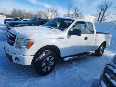 1FTEX1CM8EK****** 2014 Ford F-150