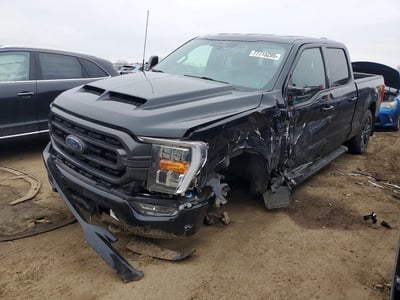 1FTFW1ED3PF****** 2023 Ford F-150