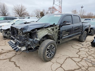 3TMCZ5AN6PM****** 2023 Toyota Tacoma