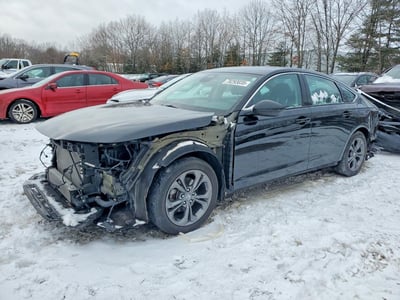 2024 Honda Accord