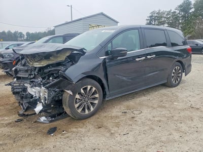 2024 Honda Odyssey