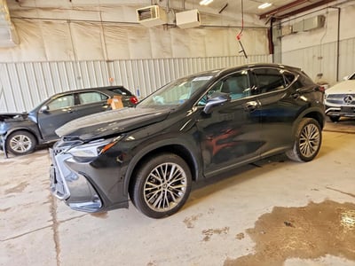 2T2HKCEZ5RC****** 2024 Lexus NX
