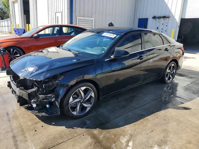 5NPLP4AG5PH****** 2023 Hyundai Elantra
