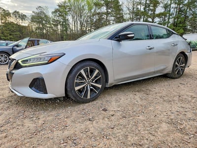 1N4AA6CV4PC****** 2023 Nissan Maxima
