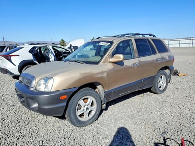 KM8SC73E34U****** 2004 Hyundai Santa Fe