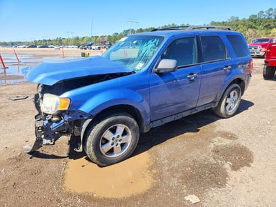1FMCU9DG0AK****** 2010 Ford Escape