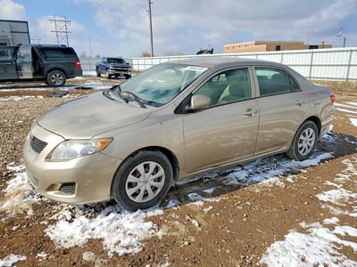 1NXBU40E49Z****** 2009 Toyota Corolla